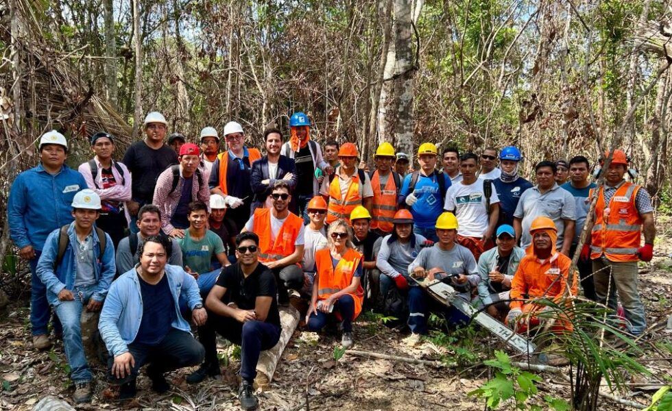 La industria forestal-madera gallega busca profesionales en Perú