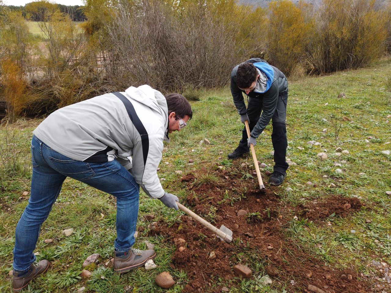 Plantan 100 nuevos árboles en la ribera del río Linares en Riba de Saelices (Alto Tajo)