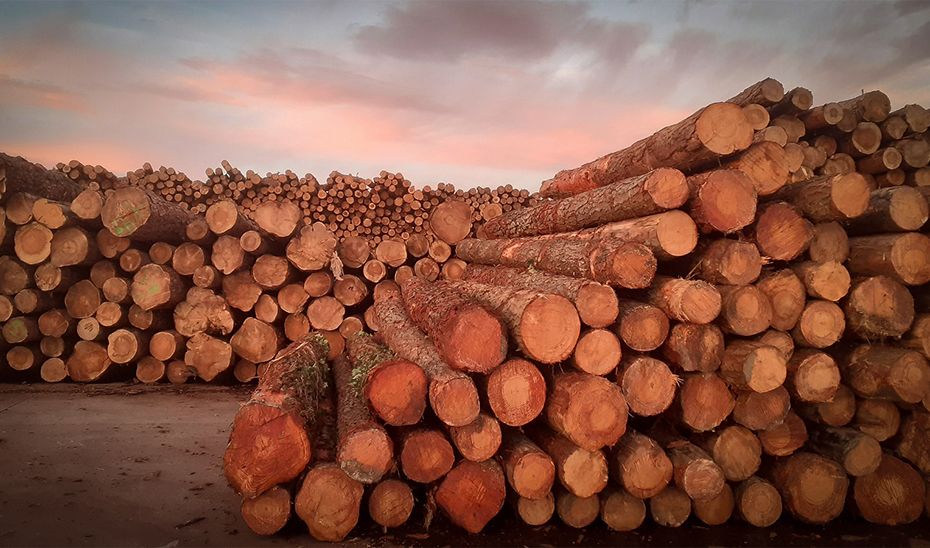 Andalucía promueve una gestión forestal activa y la construcción con madera local