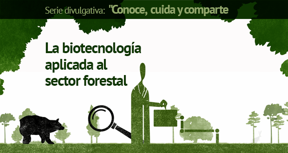 La biotecnología aplicada al sector forestal