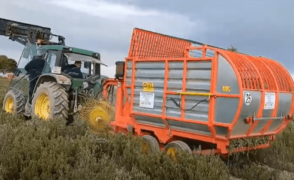 El proyecto BIOVALOR apuesta por la recolección mecanizada