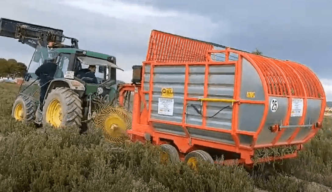 El proyecto BIOVALOR apuesta por la recolección mecanizada