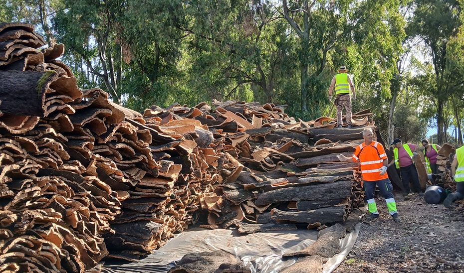 Realizarán un diagnóstico preciso de la situación actual del sector forestal andaluz