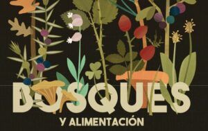 DÍA INTERNACIONAL DE LOS BOSQUES