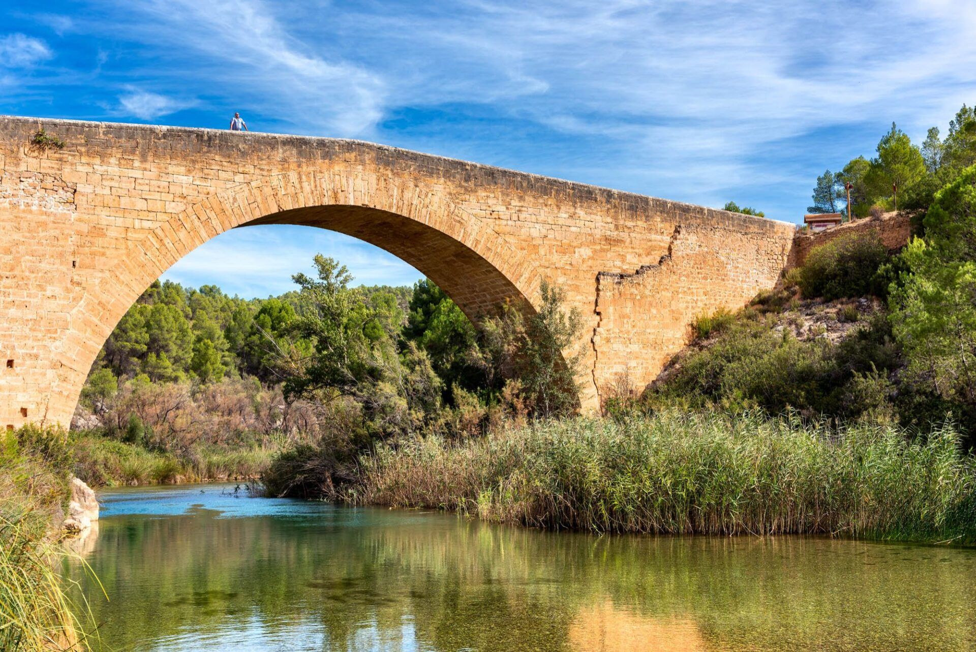 Predicción de sequía o planificación de reforestación, entre los proyectos del Hub de innovación de Iniesta (Cuenca)