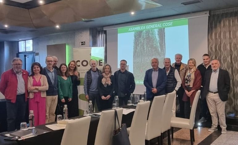 Los selvicultores de España analizan los retos de la gestión forestal sostenible