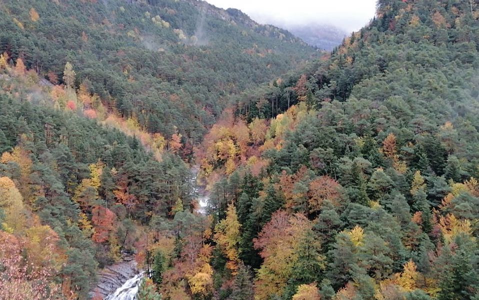 Seminario REDFORESTA: Nuevas tecnologías para una gestión forestal sostenible