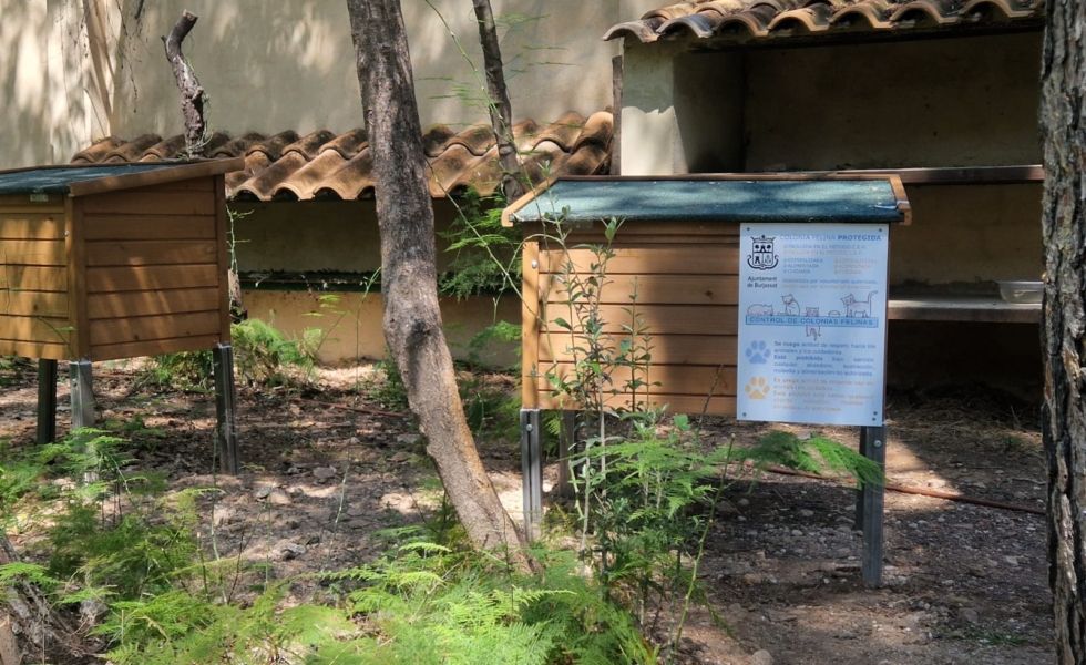 Burjassot instala 14 casetas de madera para proteger las colonias felinas