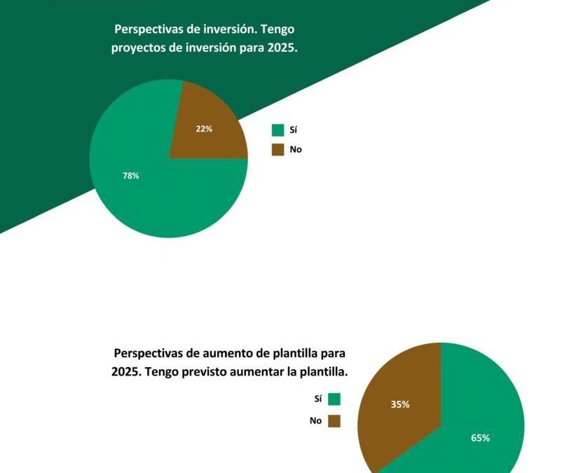 AEIM_Barometro_2025_inversión