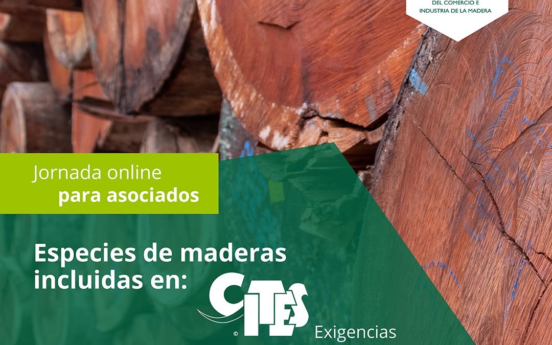 Cites_jornada online