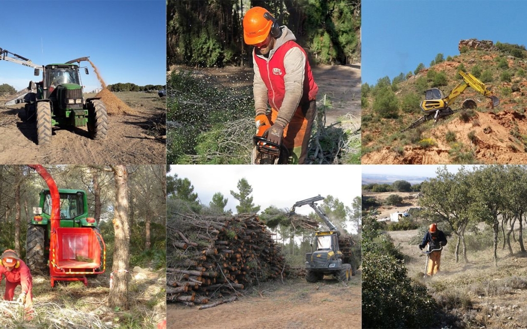 ASEMFO_personal-con-maqunaria-trabajando