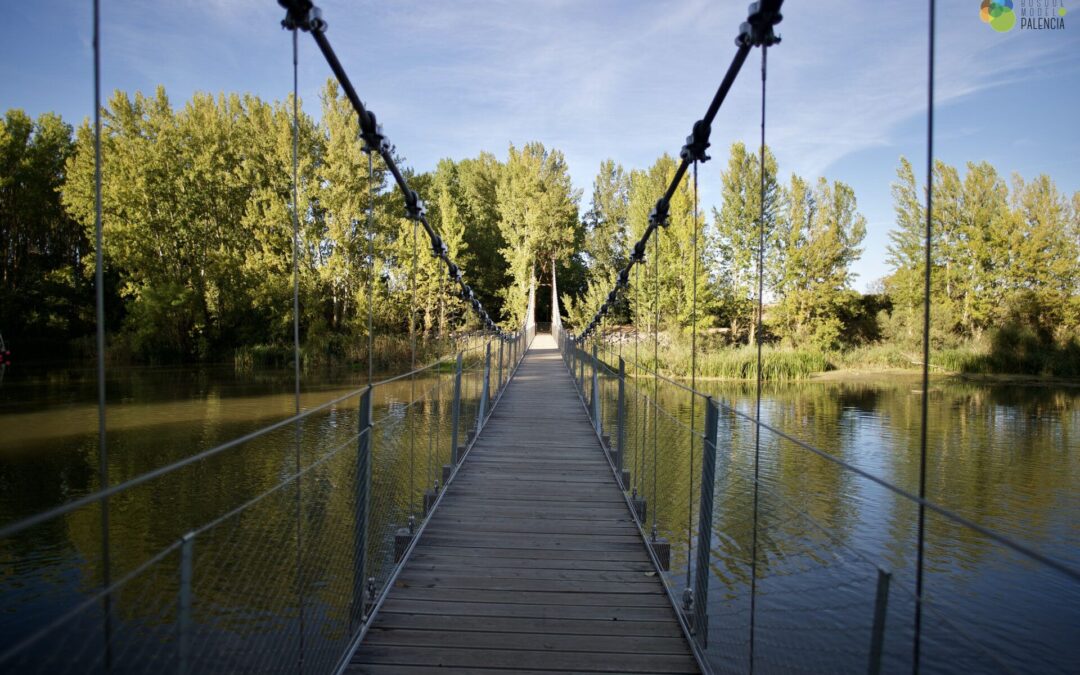 BosqueModeloPalencia_1