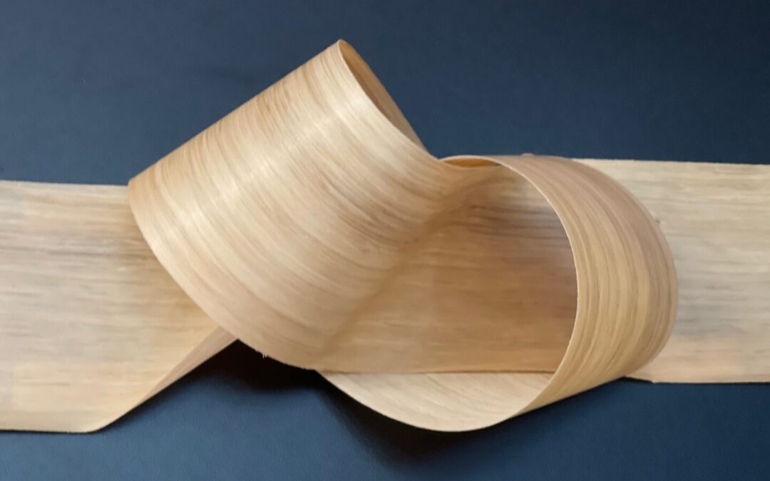 CANTISA_interzum23_4