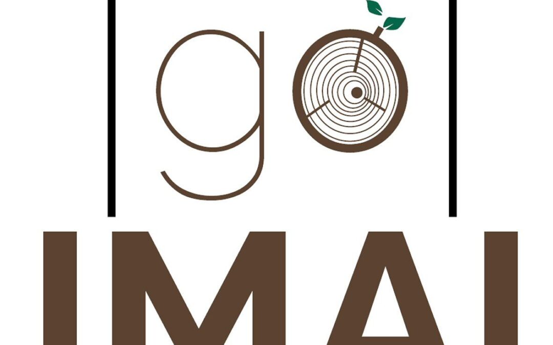 GO IMAI_logo