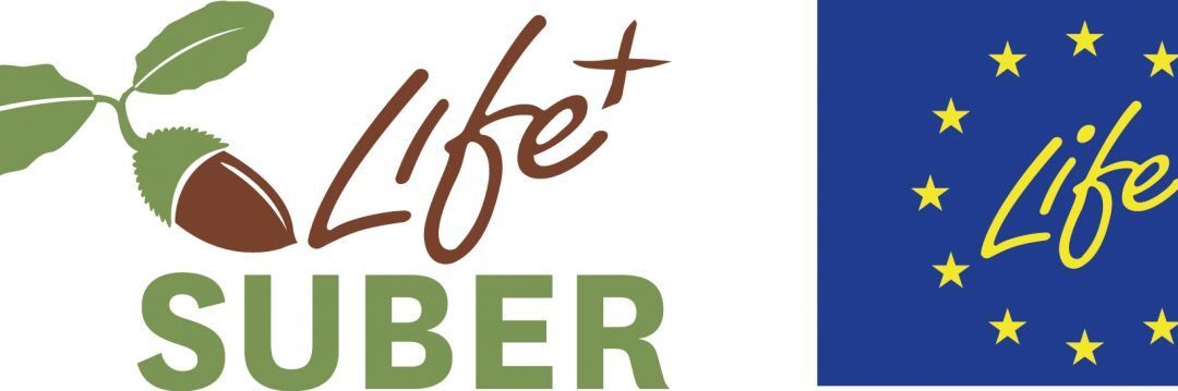 LIFE+SUBER_logo_1