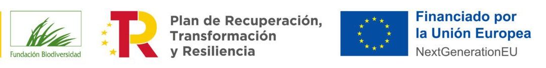 MADERAULA_Hackaton25_2