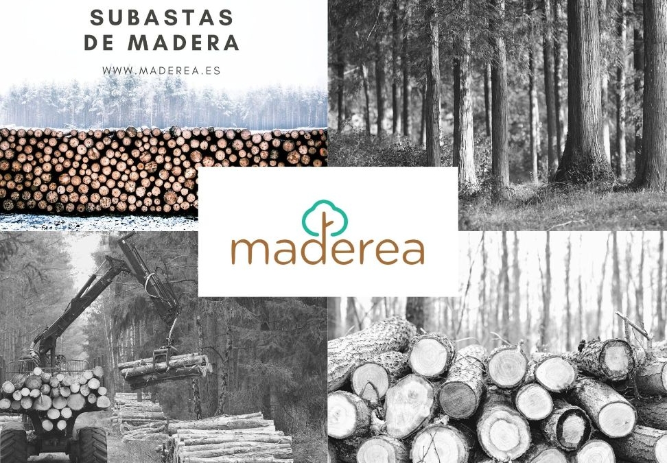 Maderea-subastas