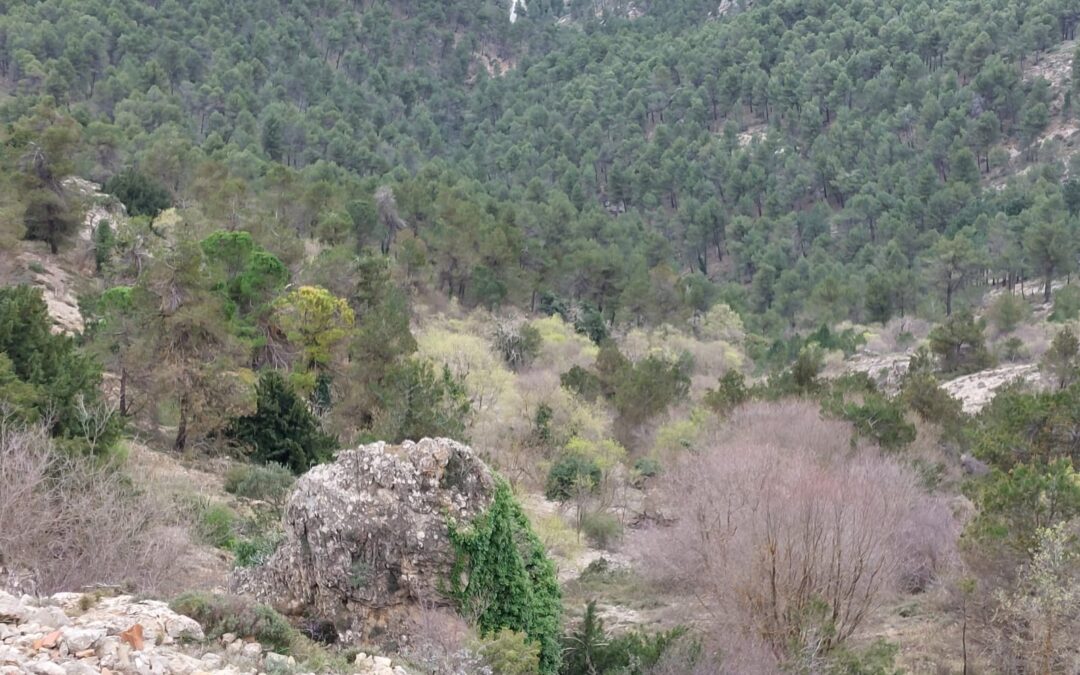 Montes_2
