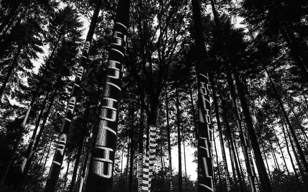 Progetto-Resonating-Trees_MAPPING-SPOT-02