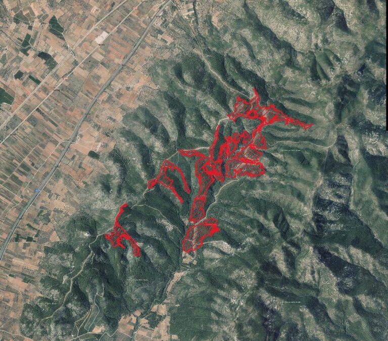 WOODFOREST SATELLITE_balance_2