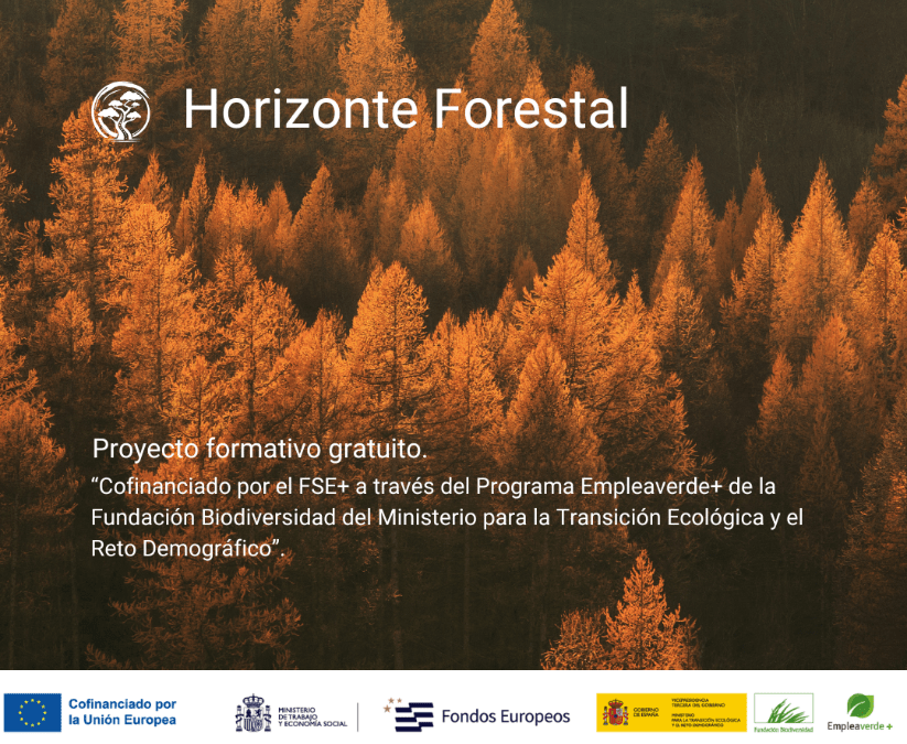 imagen Horizonte Forestal