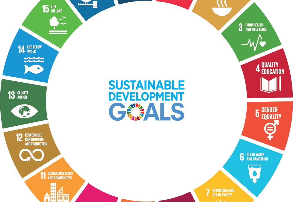 sdg-wheel